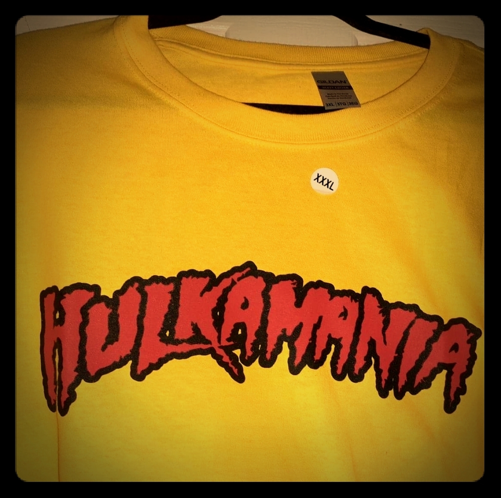 Two hoodies and  3 Ts